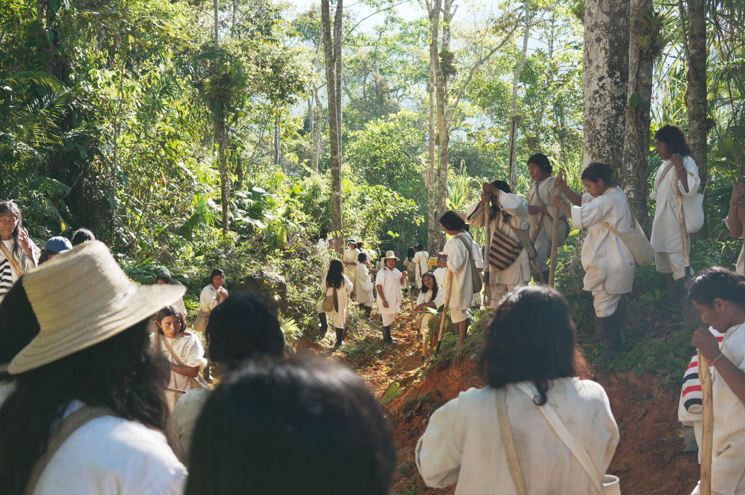 Kogi group in forest